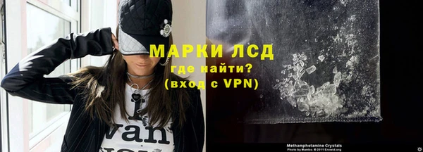 прущие грибы Козельск