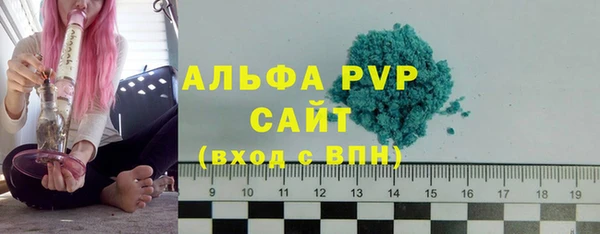 прущие грибы Козельск
