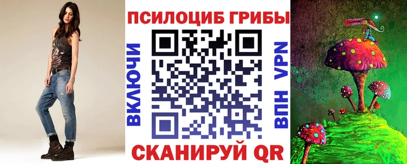 где купить наркоту Кириллов Псилоцибиновые грибы ЛСД